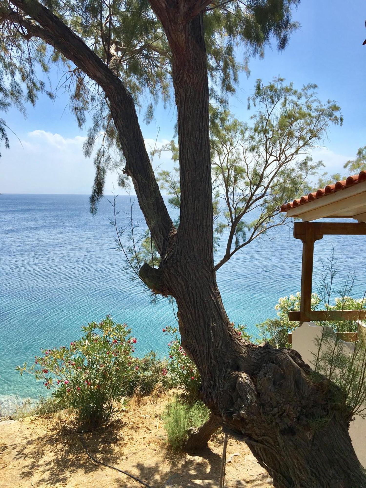 Venus Beach Hotel Néa Stýra Rom bilde